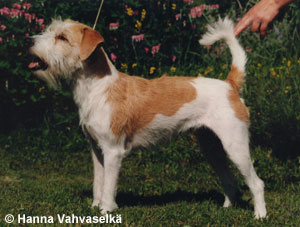 Sannariina Diotima