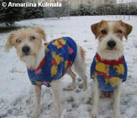 Bella ja Duo