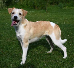 Wilma